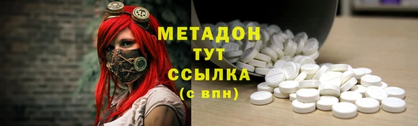 индика Болхов