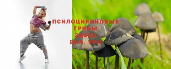 СК Михайловка