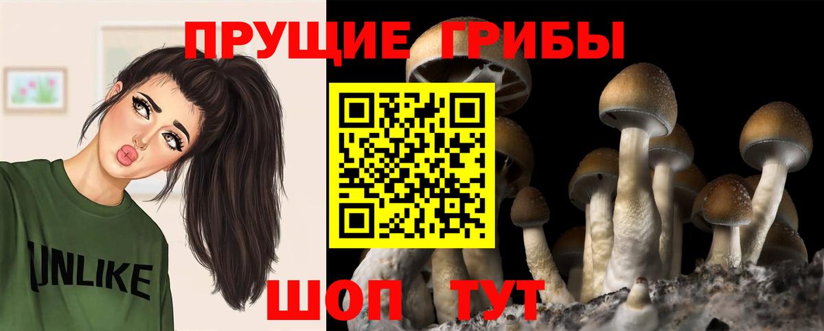 Галлюциногенные грибы Cubensis Советский